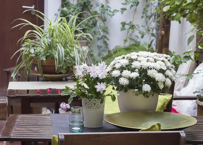 Hostel El Antiguo Convento