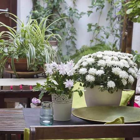 Hostel El Antiguo Convento